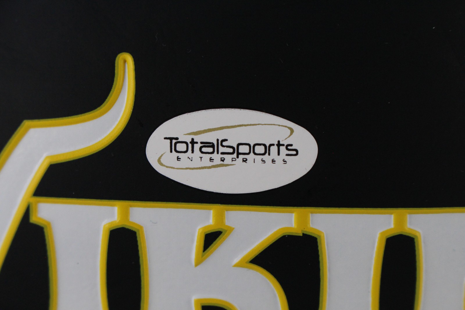 Linval Joseph Autographed Minnesota Vikings Logo Footbal Defend North DEN 59388 5 Linval Joseph Autographed Minnesota Vikings Logo Footbal Defend North DEN 59388