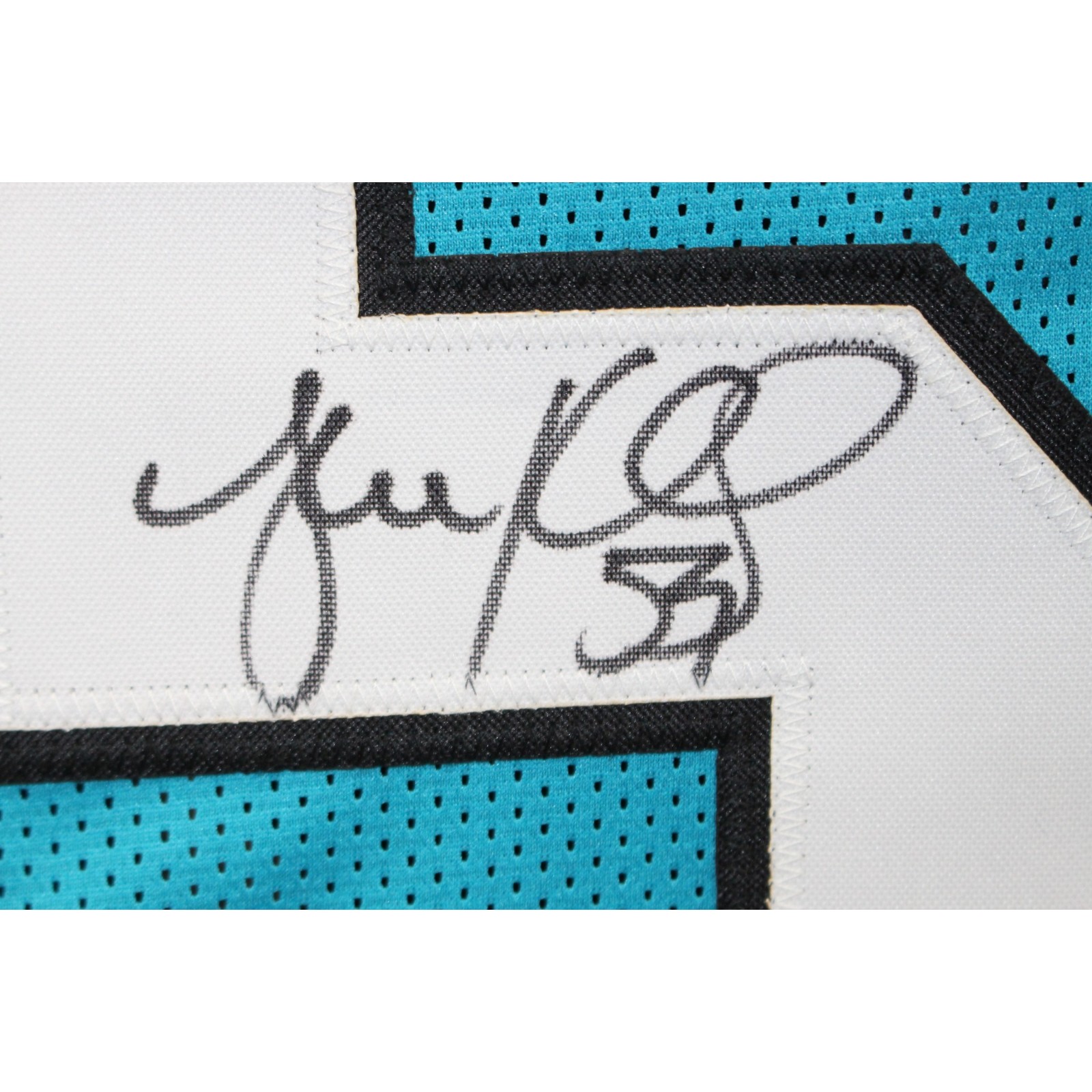 Luke Kuechly Autographed Pro Style Sz XL Blue Jersey Beckett Witness 57912