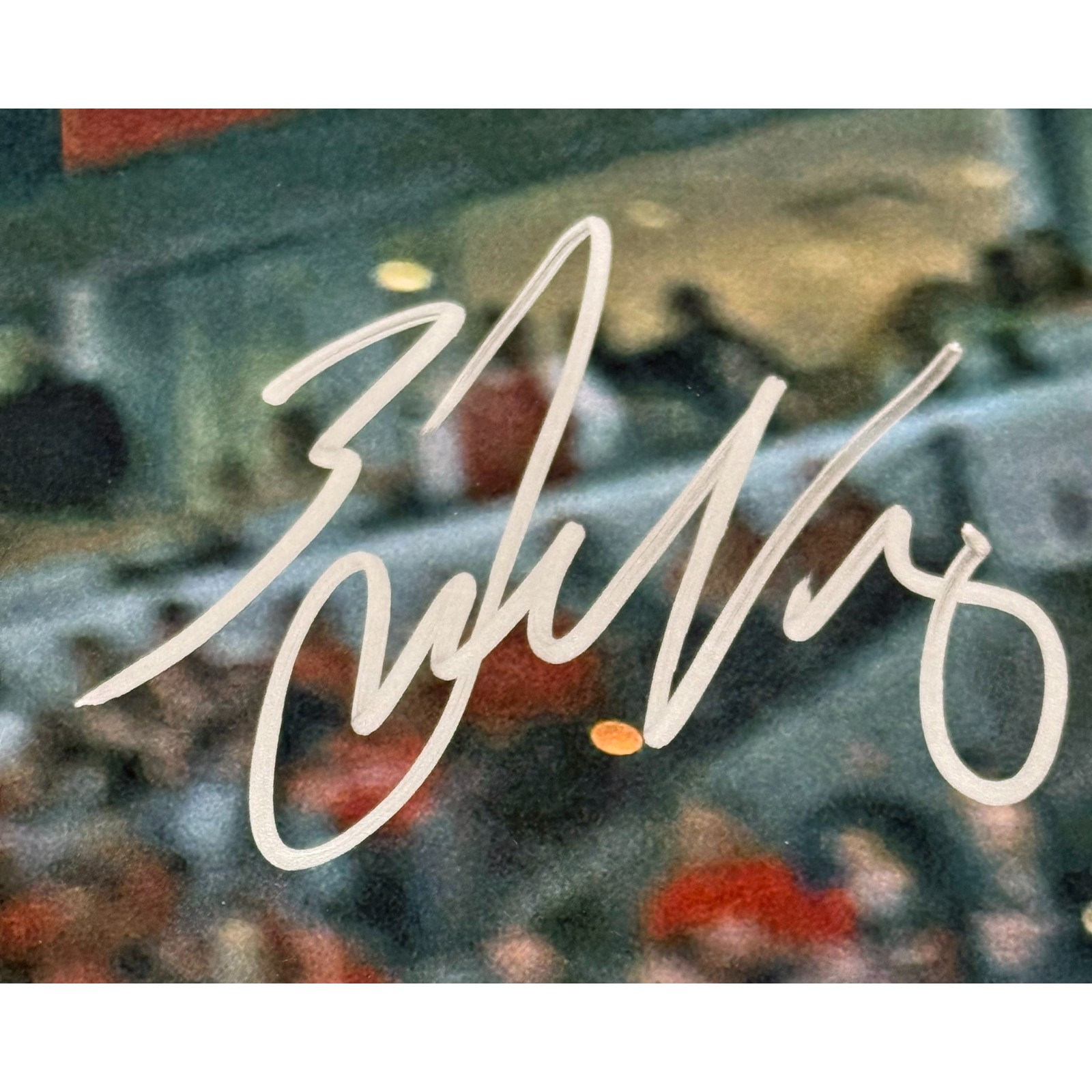 Zach LaVine Autographed/Signed Chicago Bulls 16x20 Photo Fanatics 54395 2 Zach LaVine Autographed/Signed Chicago Bulls 16x20 Photo Fanatics 54395