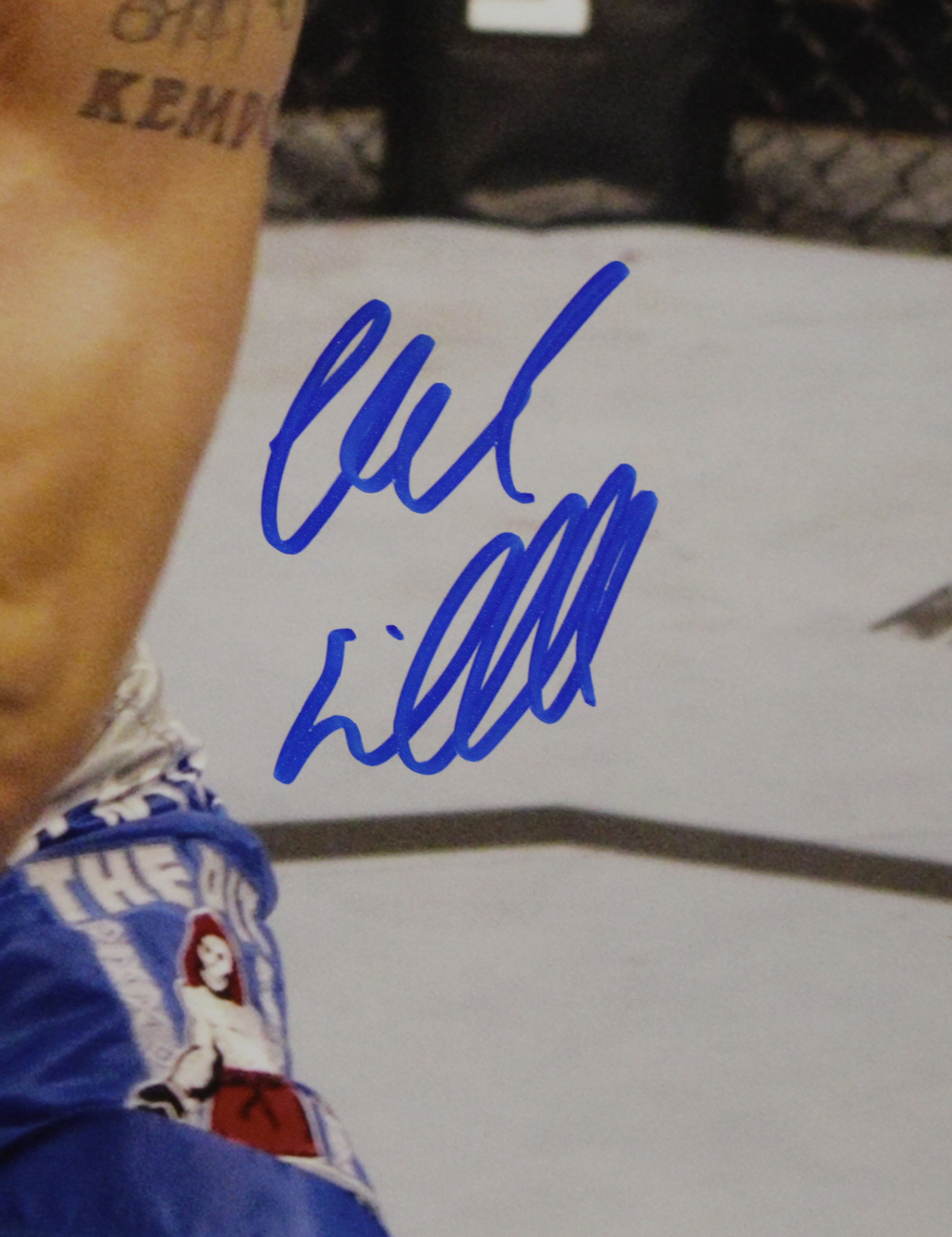 Chuck Liddell Autographed/Signed UFC 16x20 Photo Beckett