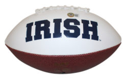 Michael Mayer Signed Notre Dame Logo Football Play Like Champion BAS
