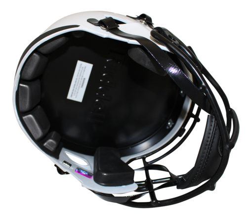 Terry McLaurin Signed Washington Football Team F/S Lunar Helmet BAS