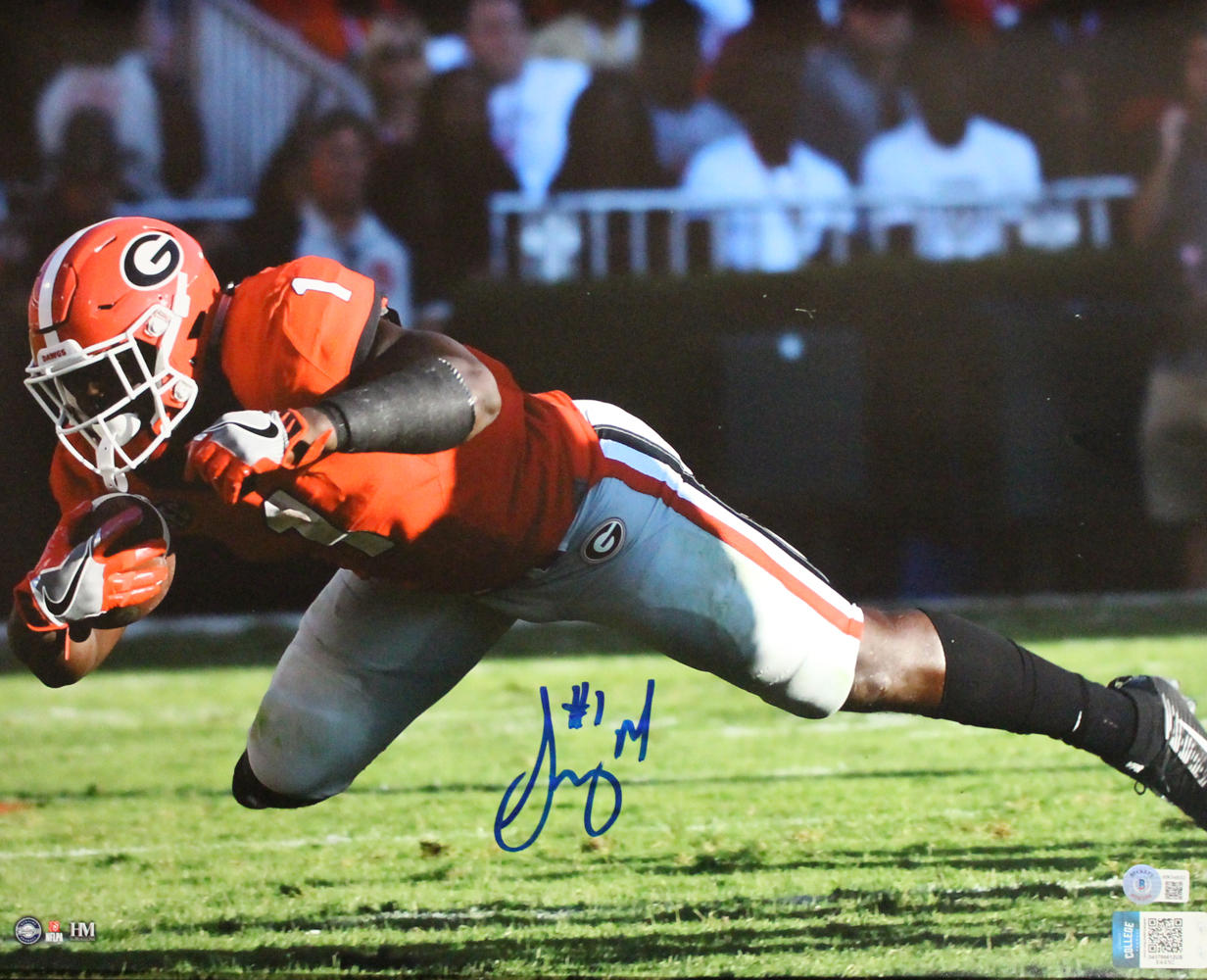 Sony Michel Autographed/Signed Georgia Bulldogs 16x20 Photo BAS