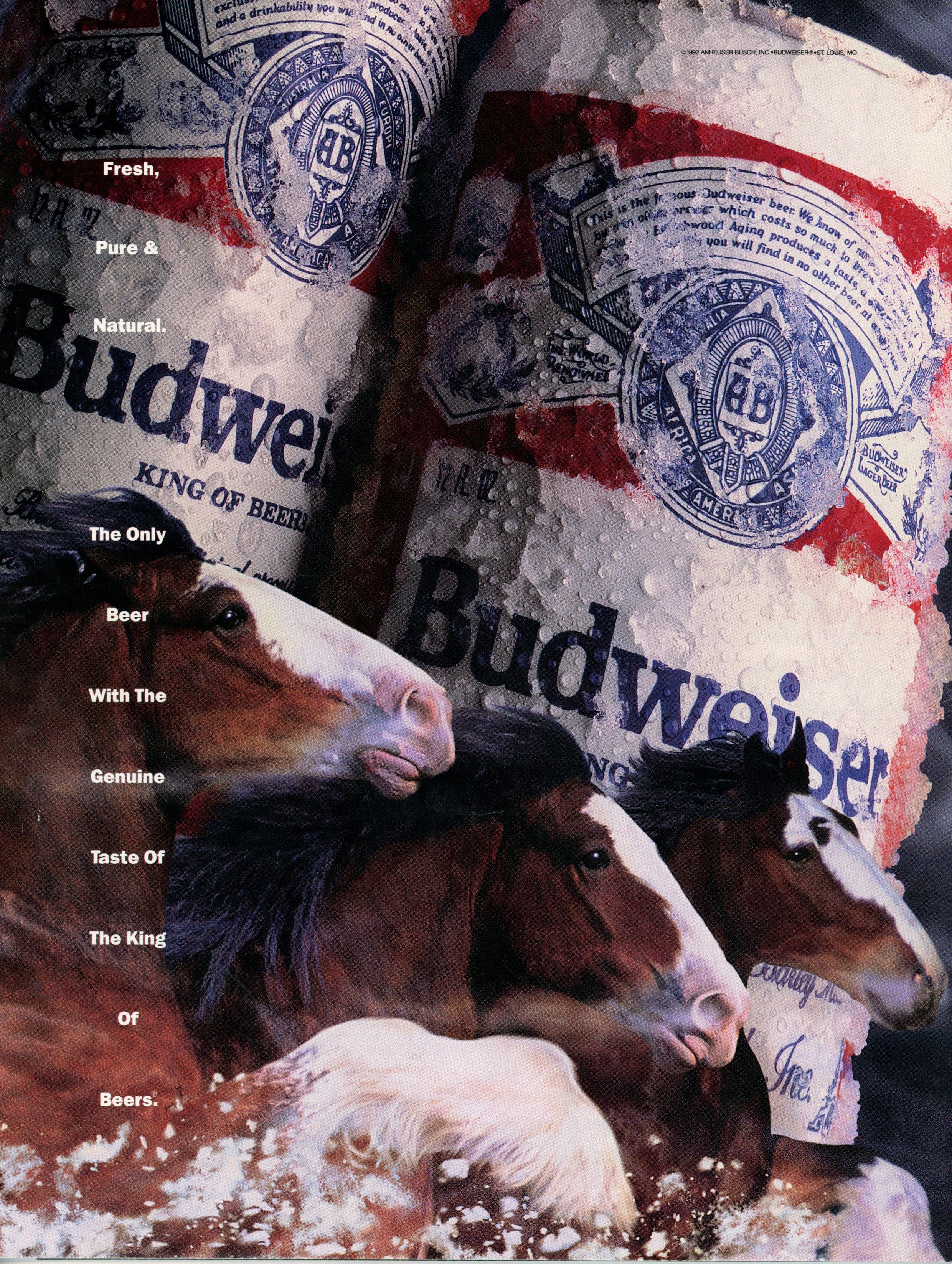 Chris McCarron Signed Arapahoe Park Magazine Horse Racing Program Beckett 55769