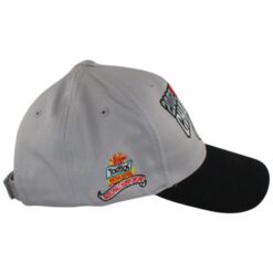 Ohio State Buckeyes 2002 National Champions Grey Nike Adjustable Hat 56040