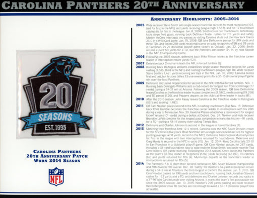 Carolina Panthers 20th Anniversary Patch Stat Card Official Willabee & Ward