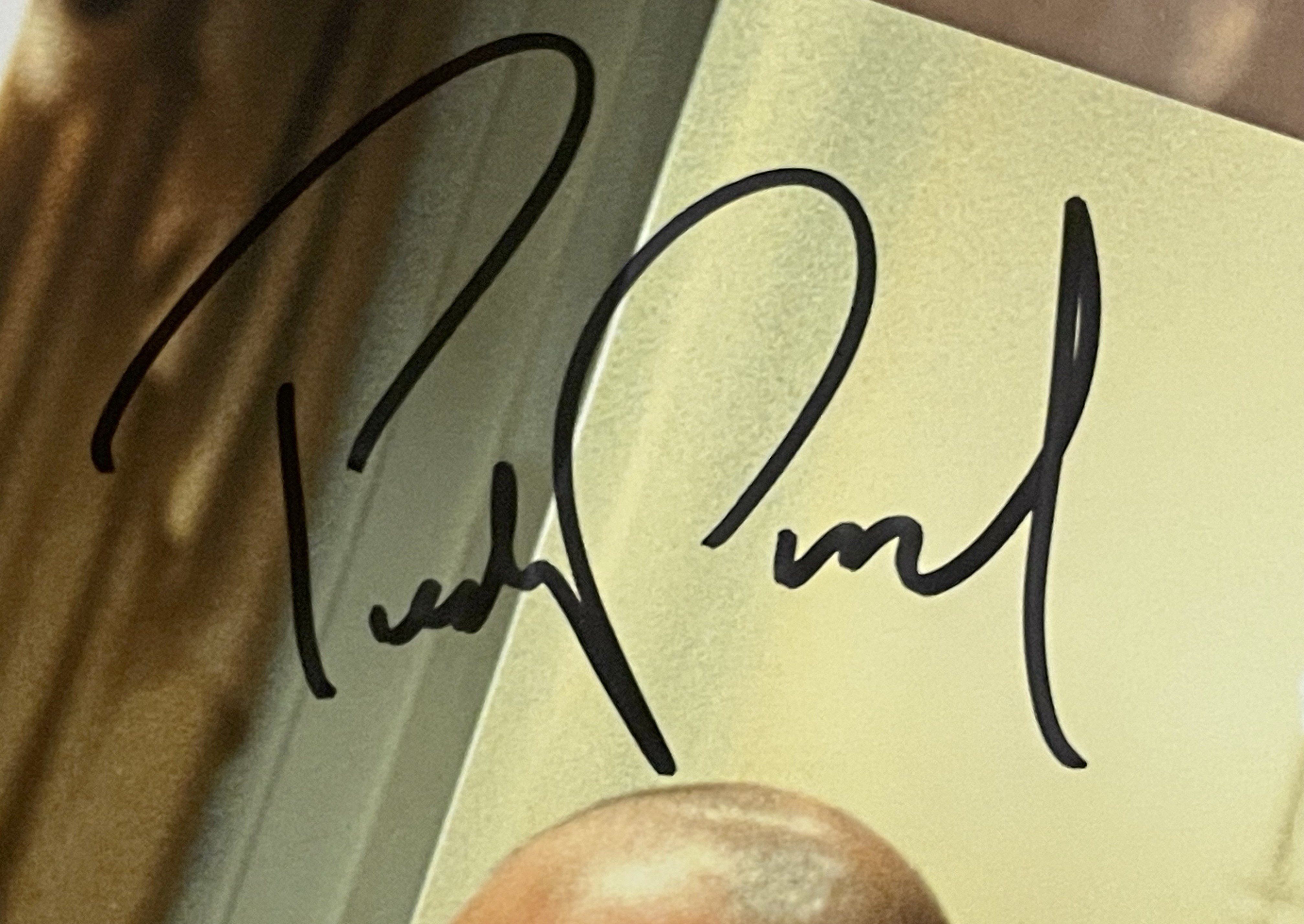 Pedro Pascal Autographed/Signed Wonder Woman 11x14 Photo Beckett 46513