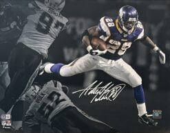 Adrian Peterson Signed Minnesota Vikings 16x20 Photo Beckett