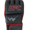 Sergio Pettis Autographed/Signed UFC Left Hand Grey Glove JSA 24702