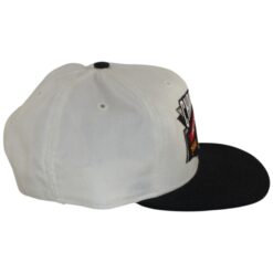 Pittsburgh Steelers 1995 AFC Champions New Era White Snapback Hat 56002