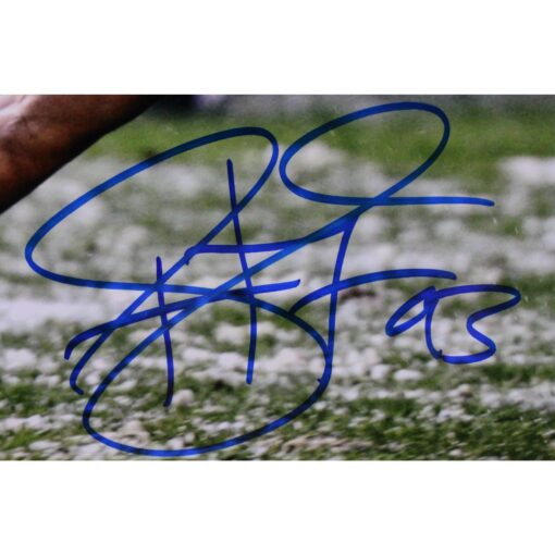 Troy Polamalu Autographed Pittsburgh Steelers 16x20 Photo Beckett Witness 50271