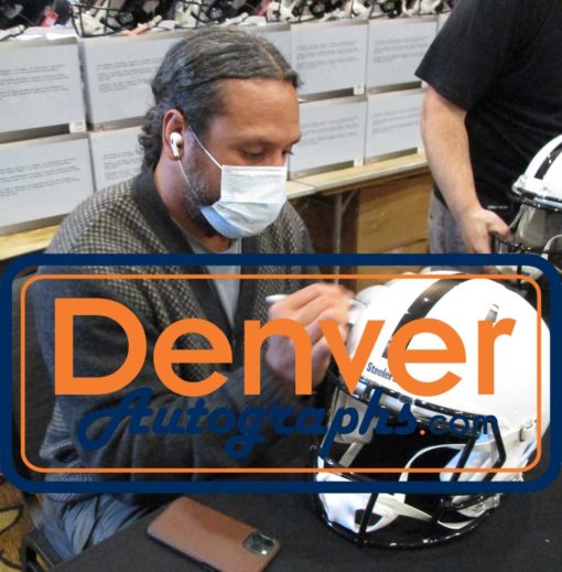 Troy Polamalu Signed Pittsburgh Steelers Authentic AMP Speed Helmet BAS 29645