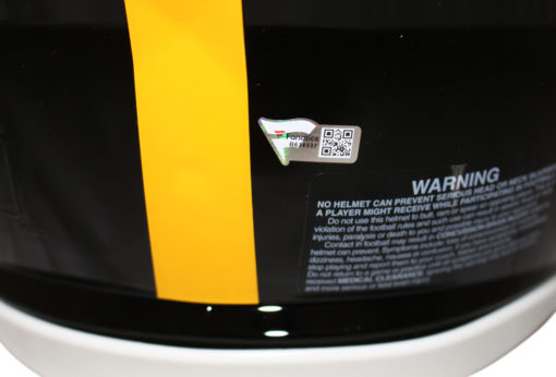 Ben Roethlisberger Signed Pittsburgh Steelers Authentic Speed Helmet FAN