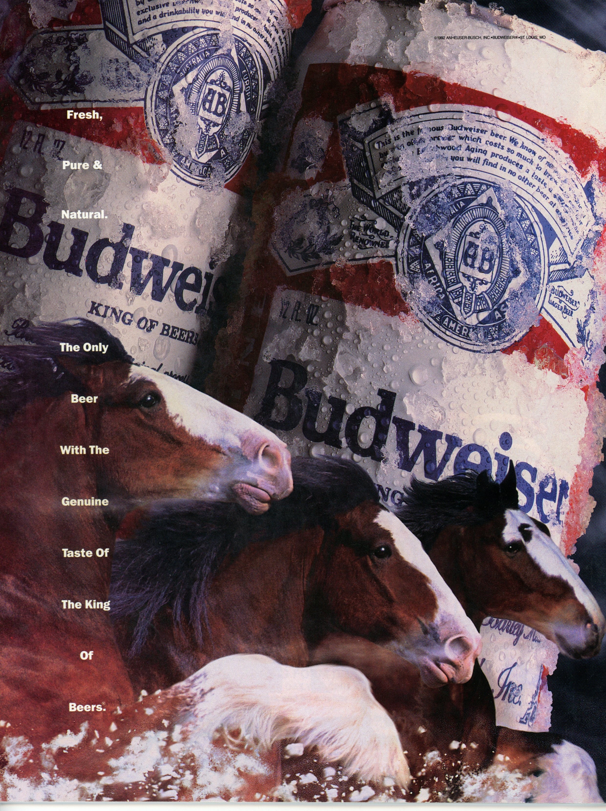 Gary Stevens Signed Arapahoe Park Magazine Horse Racing Program Beckett 55771