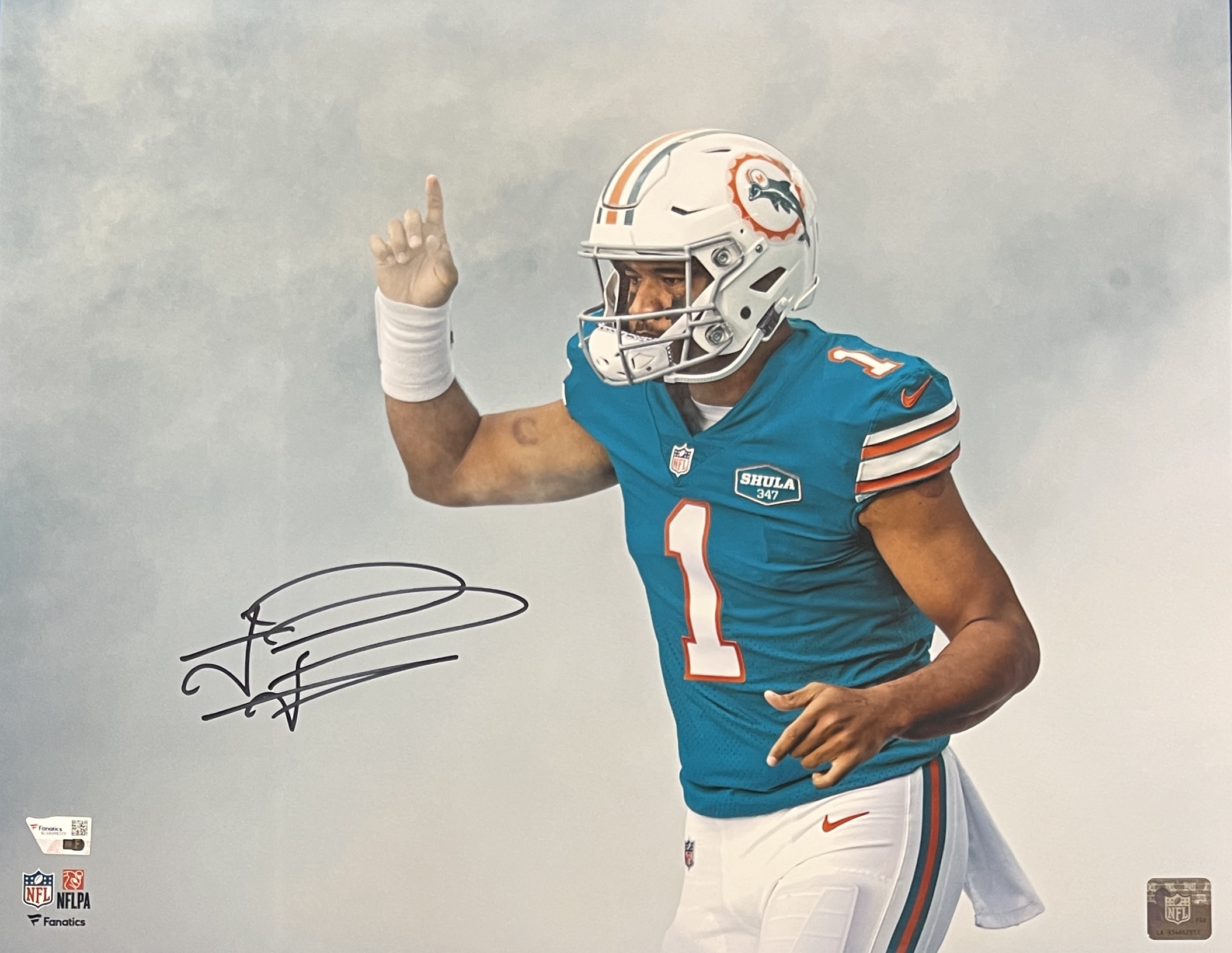 Tua Tagovailoa Autographed Miami Dolphins 16x20 Photo FAN