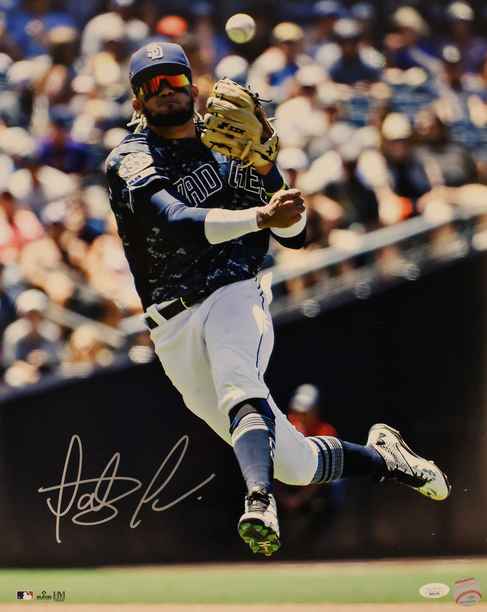 Fernando Tatis Autographed/Signed San Diego Padres 16x20 Photo JSA