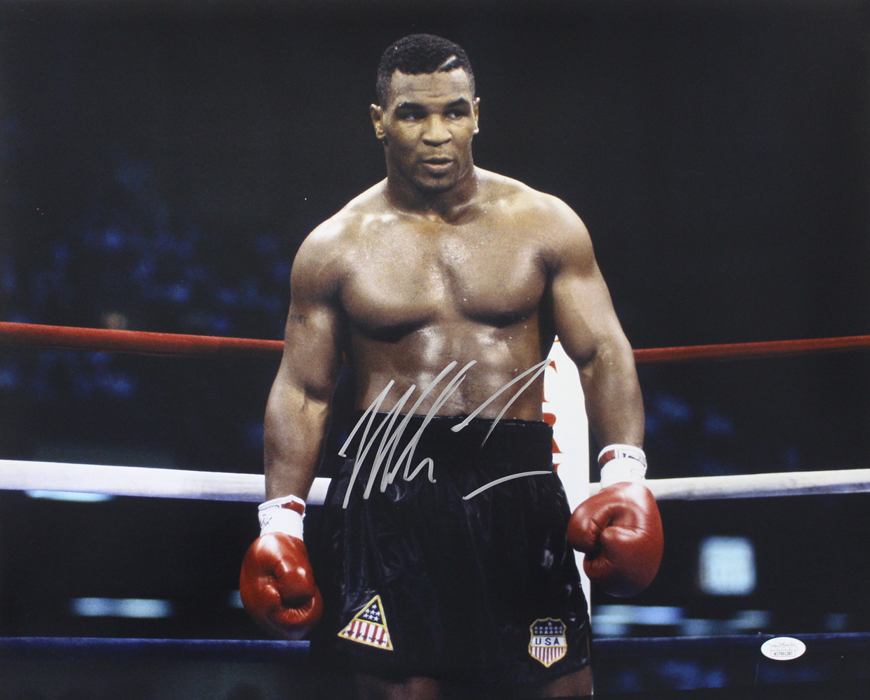 Mike Tyson Autographed/Signed USA Boxing 16x20 Photo JSA
