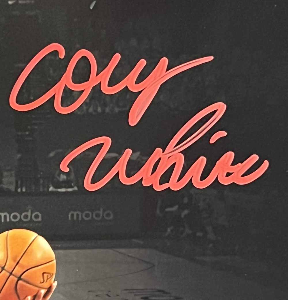 Coby White Autographed Chicago Bulls Spotlight 11x14 Photo Fanatics