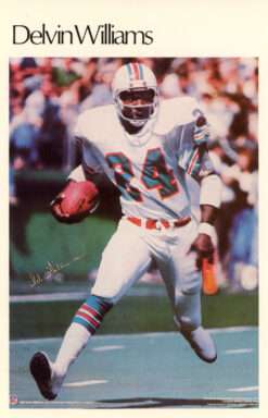 Delvin Williams Miami Dolphins Mini Poster 50/50 Marketcom 46208