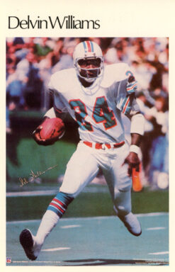 Delvin Williams Miami Dolphins Mini Poster 50/50 Marketcom 46208