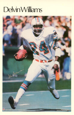 Delvin Williams Miami Dolphins Mini Poster 50/50 Marketcom 46210