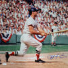 Carl Yastrzemski Autographed Boston Red Sox 16x20 Photo HOF JSA 10231