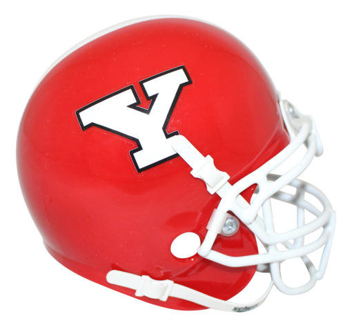 Youngstown State Penguins Authentic Mini Helmet 26302